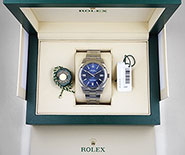 Rolex Oyster Perpetual 41mm - Dark Blue Dial 124300